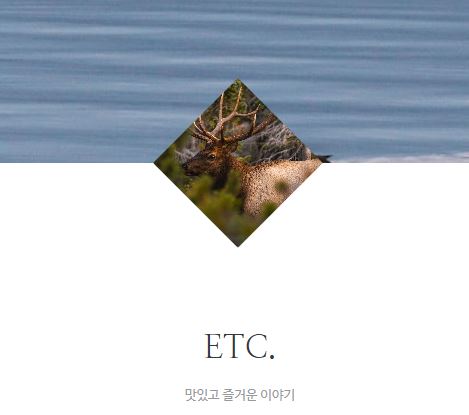 태상의 미니샵 바로가기: 생활 정보를 담는 새로운 방식