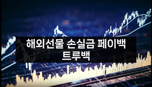 트루백: 해외선물미니업체에서의 안전하고 효율적인 투자 경험