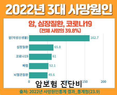 보험비교사이트에서 위즈인슈의 특별한 제안